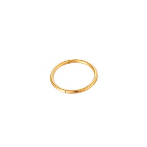 Boucles D'Oreilles Piercing Minimalistes Pour Femme, En Acier Inoxydable Étanche, Couleur Or (1 Pièce). h5 Image6