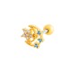 023 - Or Image12