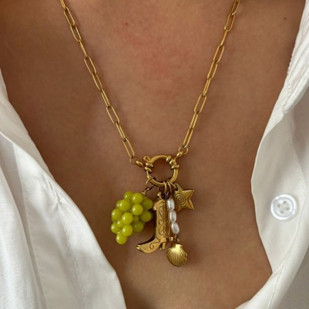 Collier pendentif en acier inoxydable doré, motif raisin, étanche