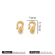 Oie d'or Image3