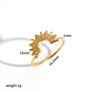 Ensemble De 1 Bague Géométrique En Acier Inoxydable Étanche Couleur Or h5 Image5