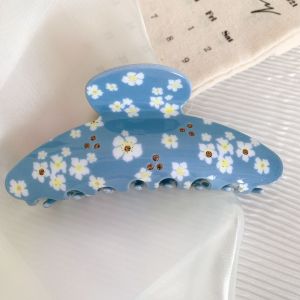1 Paire De Pinces À Cheveux Élégantes En Acétate Pour Femme, Série Simple h5 