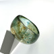 algue Image3