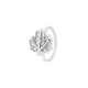 042-Argent Image2