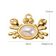 Perles de coquillage Image3