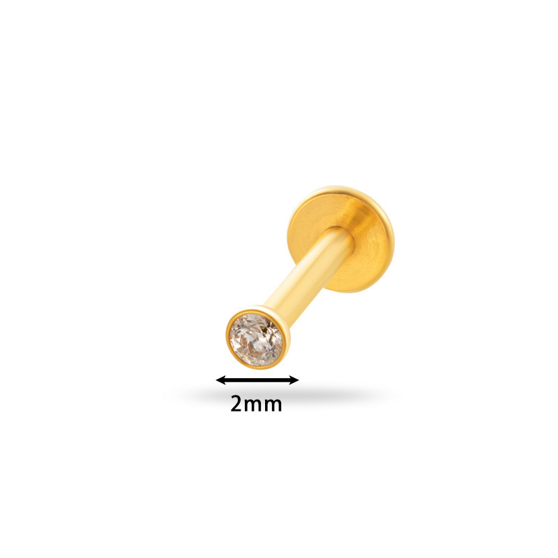 Boucle D'Oreille Piercing Couleur Or En Alliage De Titane 1 Pièce Image2