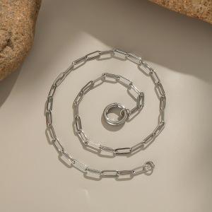 Collier Pendentif Femme Simple Series Daily Circle En Acier Inoxydable Étanche (1 Pièce) h5 Image4