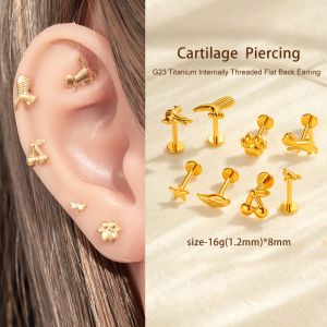 Boucle D'Oreille Piercing Couleur Or En Alliage De Titane 1 Pièce h5 Image4