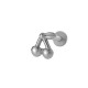 T2524-8# Argent Image16