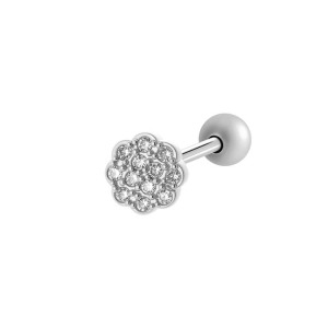 Boucles D'Oreilles Perçantes Élégantes En Forme De Coquillage, Couleur Cuivre Et Or, Zircone, Pour Femme, 1 Pièce h5 