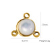 Coquille blanche Image8