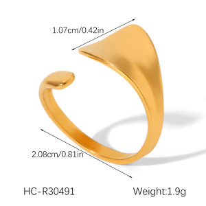 Bague Simple Et Élégante Au Quotidien, En Acier Inoxydable Imperméable, De Forme Irrégulière. h5 Image2