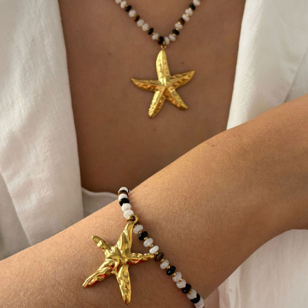 Ensemble de colliers en pierre naturelle avec étoile de mer