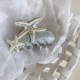 3# Argent Image3