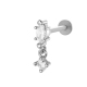 0195-4# Argent Image14