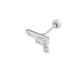 couleur argent Image5