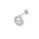 couleur argent Image3