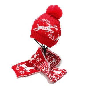 1 Ensemble Écharpe Et Bonnet Tricotés De Noël h5 Image4
