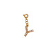 Pendentif boucle à ressort-Y Image25