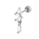 0189-3# Argent Image15
