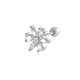 couleur argent Image6