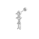 couleur argent Image5