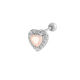 couleur argent Image5