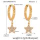 Q055-Boucles d'oreilles étoile à cinq branches dorées en zircon-L Image7