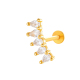 0195-2#or Image2