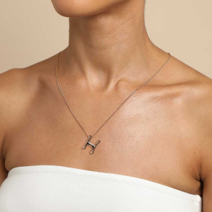 Collier Pendentif Femme Classique En Acier Inoxydable, Couleur Or, Lettre H (1 Pièce) h5 Image4