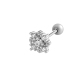 couleur argent Image4