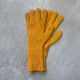 gingembre Image7