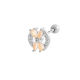 couleur argent Image6