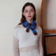 Bleu Image2