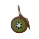 kiwi Image4