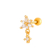 2605-2#or Image2