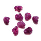 Violet/20piece Image4