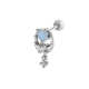 couleur argent Image3