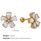 Boucles d'oreilles en zircon doré Image3
