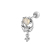couleur argent Image2