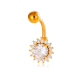 0199-3#or Image3