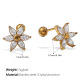 Boucles d'oreilles en zircon doré Image2