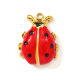 Image7
