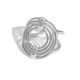 couleur argent Image3