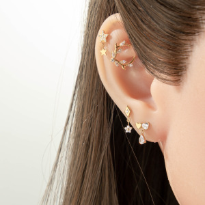 Boucles D'Oreilles Piercing Femme En Titane Et Zircon, Motif Feuille Simple (1 Pièce) h5 Image5