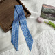 Bleu Image4