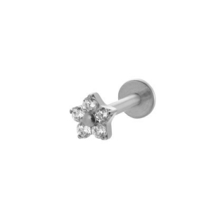 Boucles D'Oreilles Piercing Pour Femme, 1 Pièce, Nœud Papillon, Alliage De Titane, Couleur Or, Zircone h5 