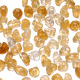 Ambre/50piece 