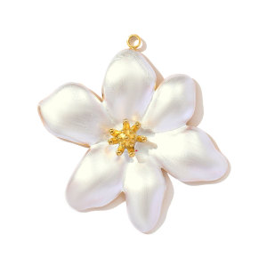 Pendentif Femme Étanche En Acier Inoxydable Et Plante Naturelle (1 Pièce) h5 