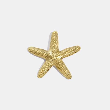 Broche en acier inoxydable doré, 1 pièce, en forme d'étoile de mer 2